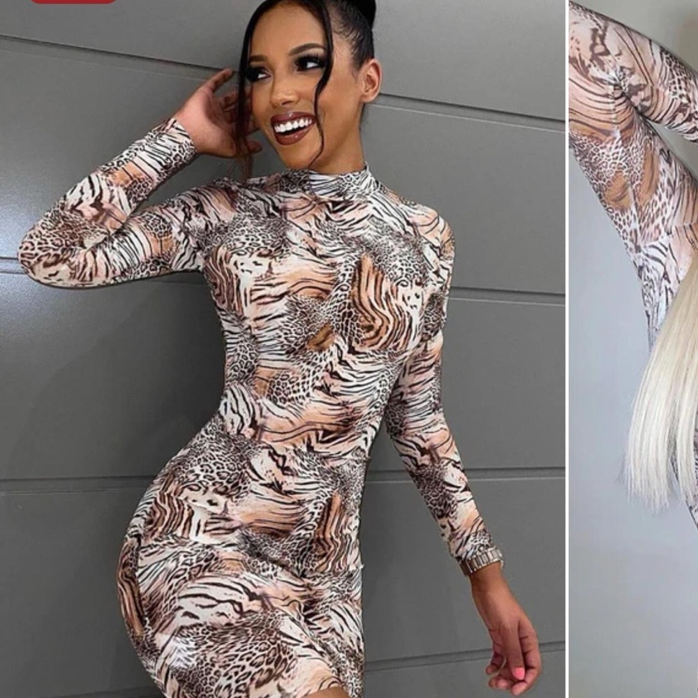Animal Print Mesh Long Sleeve Dress